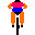 bikeani